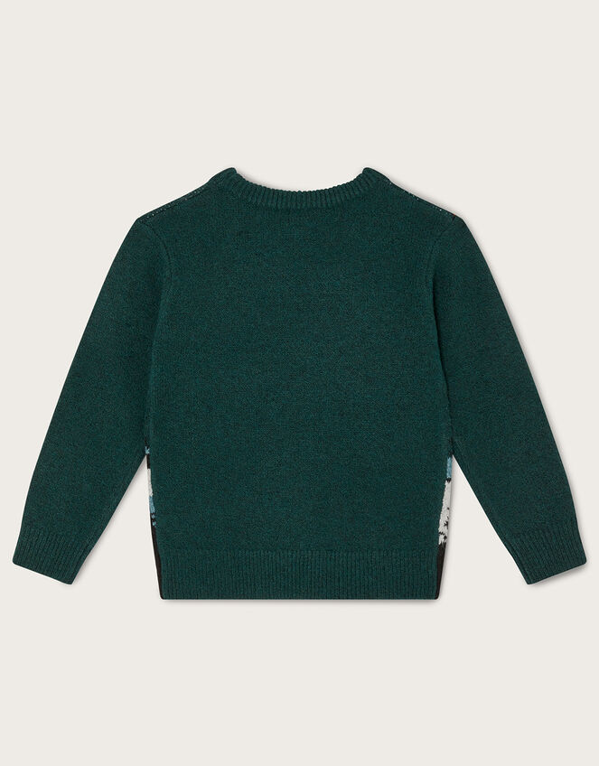 Green Jumper Bear 